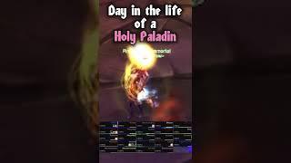 Day in the Life of a Holy Paladin