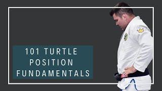 101 Turtle Position Fundamentals