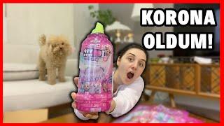 YENİ EVCİL HAYVANIM KÖPEĞİM TAYLOR *KORONA OLDUM*Dobişko Tv