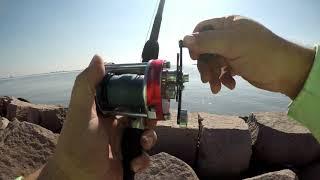 Abu Garcia AMB 7000 mag upgrade field test off and on casting