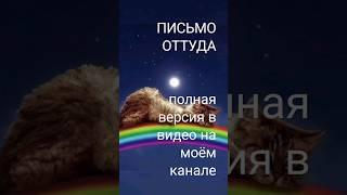 кошки#животные#стихи