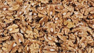 TOMRA 5C | Walnuts Sorting