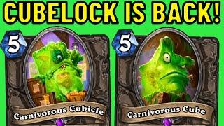 Cubelock in 2024?! Carnivorous Cubicle Combo!