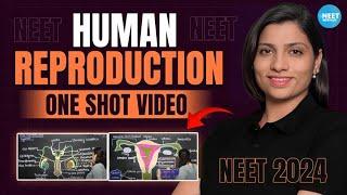 Human Reproduction Class 12 One Shot | All Theory, Tricks & PYQs | NEET 2024 Biology | Ritu Rattewal