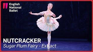 Nutcracker: Sugar Plum Fairy (extract) | English National Ballet