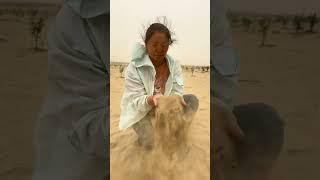#Desert planting I m a sand control worker
