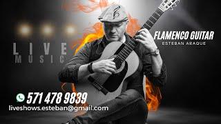 FLAMENCO REEL ESTEBAN ARAQUE DMV