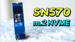 WD Blue SN570 SSD - Solid Value nVME m.2 2280 Option for Laptop and PC Users (WDS100T3B0C)