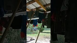 The Best Country Way of Drying Clothes #washeranddryerbroke #clothesline
