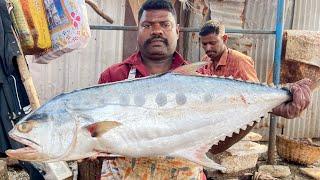 Kasimedu Selvam Trevally  Fish Cutting Video | UK SONS MARINE