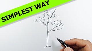 How to draw a tree without leaves | Simple Drawing Ideas