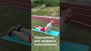 Как улучшить здоровье позвоночника