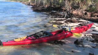 Paddling the Forgotten Coast: EcoAdventures North Florida