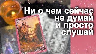 ️ Срочная Потоковая Информация про Тебя ...️️ расклад таро  знаки судьбы