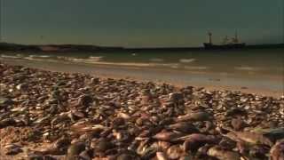 HD National geographic   Aftermath  When the Earth Stops Spinning