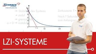 Was sind LZI-Syteme?