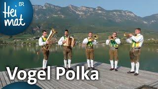 Traminer Tanzlmusig: Vogel Polka |  Musik in den Bergen l BR Heimat - die beste Volksmusik