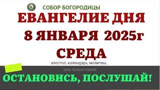 8 ЯНВАРЯ СРЕДА ЕВАНГЕЛИЕ АПОСТОЛ ДНЯ  2025 #евангелие