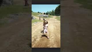 Мистик)))) #mmorpg #blackdesert #бдо #gameplay #games #letsplay