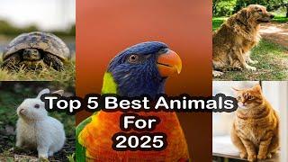 Top 5 Best Pets for 2025 | Easy Pets for Home and Beginners!