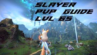 TERA - Slayer PvP Guide lvl 65