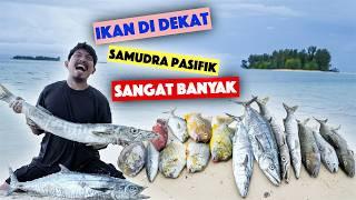 BERBURU DEKAT LAUT PASIFIK