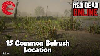 Common Bulrush Locations rdr2 Online - Red Dead Online Common Bulrush Location Guide