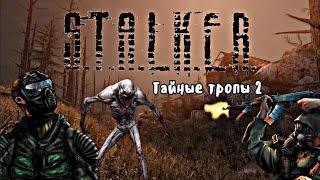 Прохождение Сталкер Тайные тропы 2 #3 ЧАЭС.