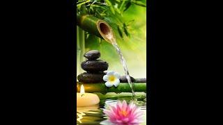 Relaxing Music Bamboo Water Fountain Meditation Music Sleep Music Piano Music Stress Relief Music