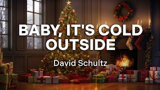 David Schultz - Baby, It's Cold Outside (Official Audio - Christmas Songs)