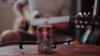 Kevin's Famous Fuzz