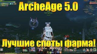 ARCHEAGE 5.0 ТОП 5 СПОТОВ ДЛЯ ФАРМА В ИРАМКАНДЕ!