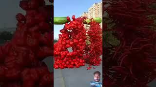 Fruit pair collision special effects c4d animation decompression #autumn #flowers #baby