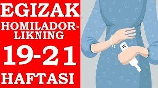 EGIZAK HOMILADORLIGINING 19-21-HAFTALARI / ЭГИЗАК ХОМИЛАДОРЛИГИНИНГ 19-21-ХАФТАЛАРИ