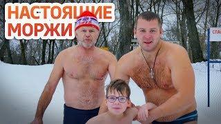 КАК КУПАЛИСЬ В ПРОРУБИ МОРЖИ !! 2019. Купание в проруби.  Купание зимой