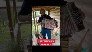 Владимир Латенков на гармони