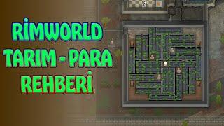 Tarımın Büyük Nimetleri Var - Rimworld Tarım Rehber