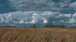 ПОЛЕ И ОБЛАКА _ Футаж _ FIELD AND CLOUDS _ Footage_ (4К_Ultra HD)