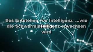 Schwarmintelligenz - Die Entstehung von Intelligenz (Teil 1)