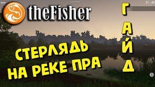 The Fisher Online - СТЕРЛЯДЬ на реке ПРА