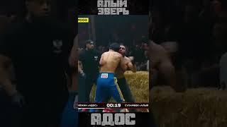 Knockdown Top Dog 23 - Суламбек Алый Зверь Шахгириев vs Адильжан Адос Сандибеков #TopDog #knockdown