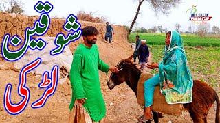 SHOQEEN LARKI|شوقین لڑکی| New Video 2025 By Dr Wajid,Simran,Nadia Malik,Tanu,Malangi,Aroj&Team