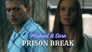 Sara & Michael || Their Love Story Season 1 ||English Sub