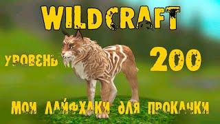 Несколько ЛАЙФХАКОВ для прокачки в WildCraft