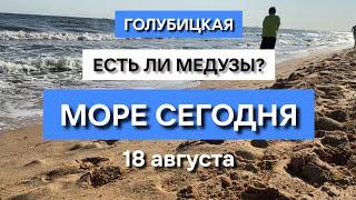 Голубицкая МОРЕ СЕГОДНЯ 18 августа. Медузы на пляже? Кемпинг отдых с палаткой. Азовское море