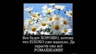 Юмор. Деньги - это грязь,но грязь лечебная...Веселая открытка для поднятия настроения. Море Позитива