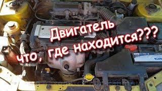 Что находится под капотом автомобиля (основные элементы)