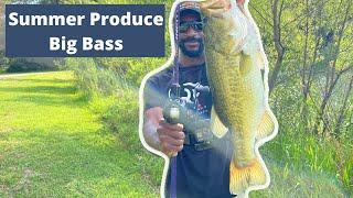 Bank Fishing For Big Summer Bass| Bank Fishing Tips| Florida Bank Fishing