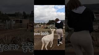 커플룩 사슴 남친 생김