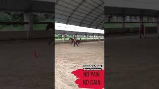 Michelle Carvalho y su caída a caballo